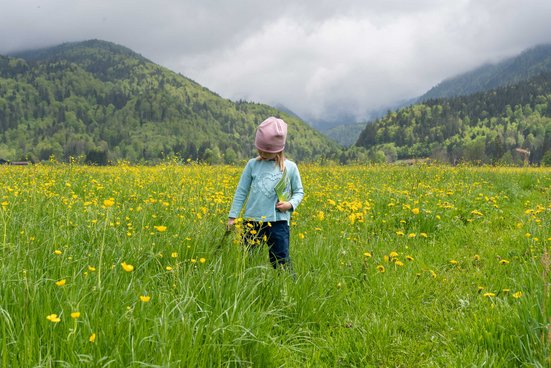 Mädchen in einer blühenden Blumenwiese in Reit im Winkl