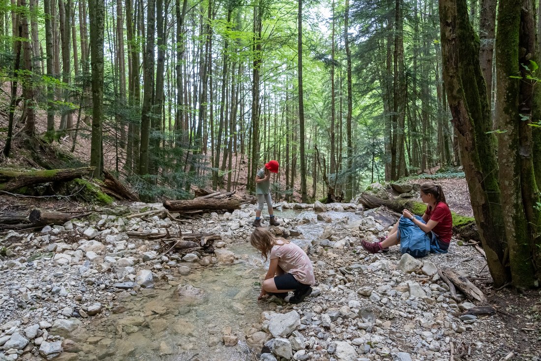 Wanderpause Kinder spielen am Wasser im Wald 