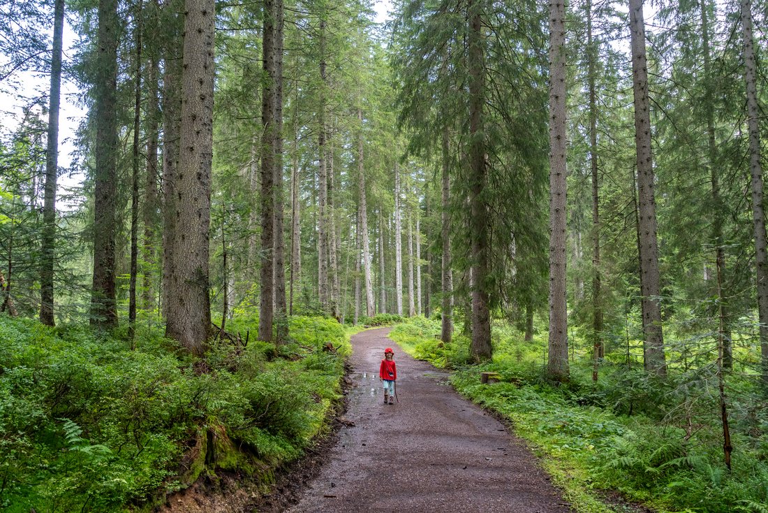 Mädchen auf dem Wanderpfad durch den Wald 