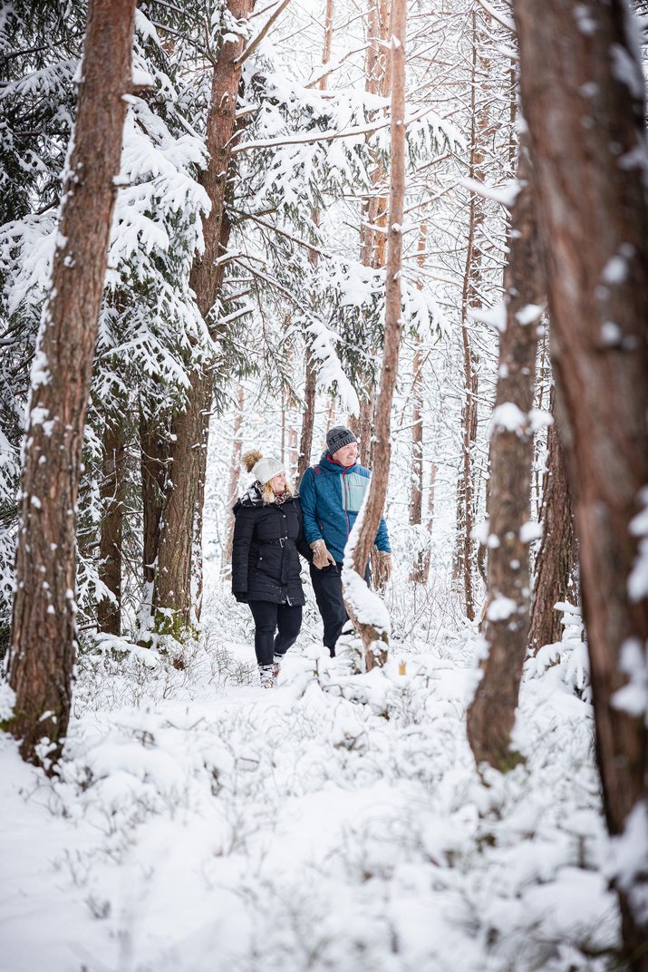 Pärchen im Winterwald 