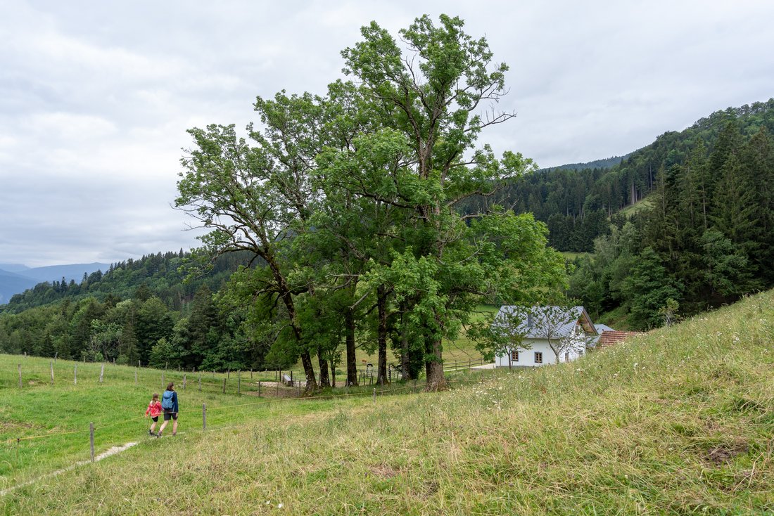 Wandern mit Kindern in der Hochplatten Region in Grassau 