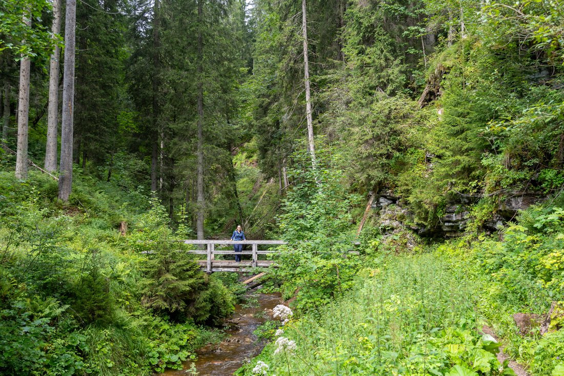 Frau wandert über eine Brücke im Wald 