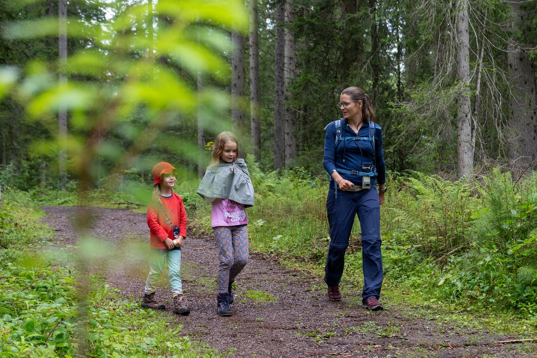 Familie beim Wandern durch den Wald 