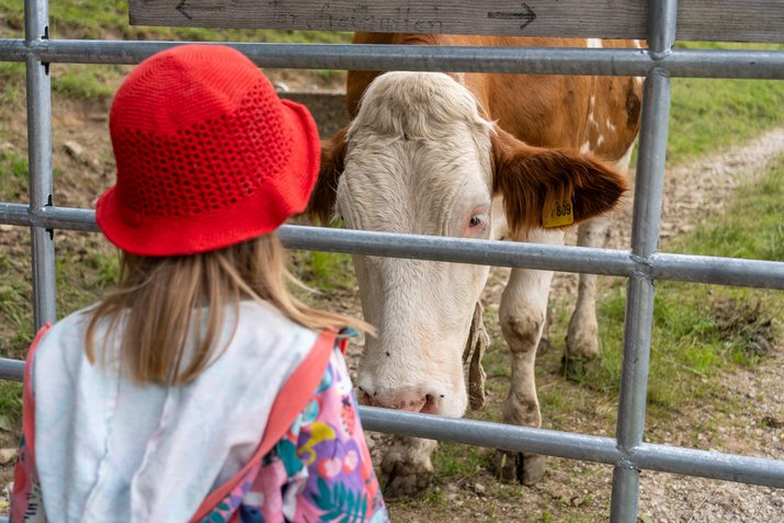Kleines Mädchen entdeckt Kuh bei Wanderung