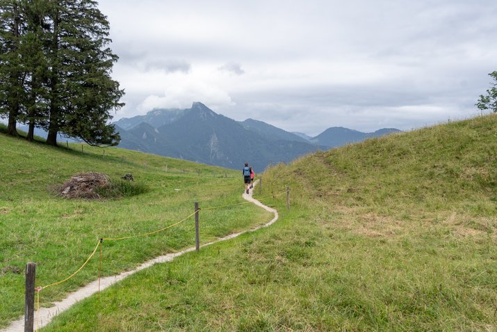 Wanderwege in der Hochplattenregion in Grassau