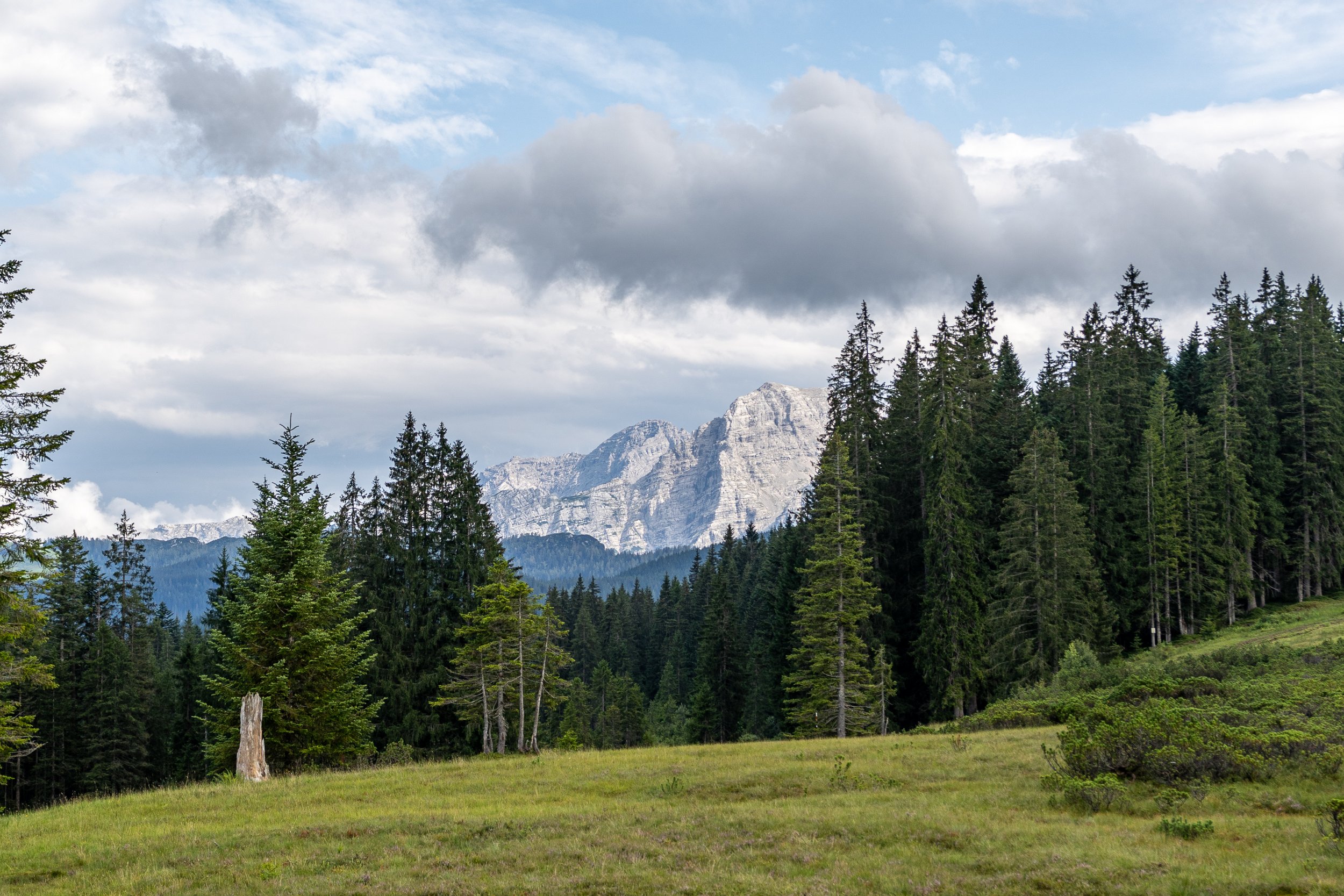 Bergpanorama auf Wanderweg