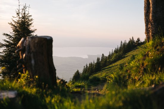 Blick vom Hochgern auf den Chiemsee