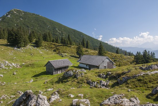 Blick auf die Kohleralm in Inzell