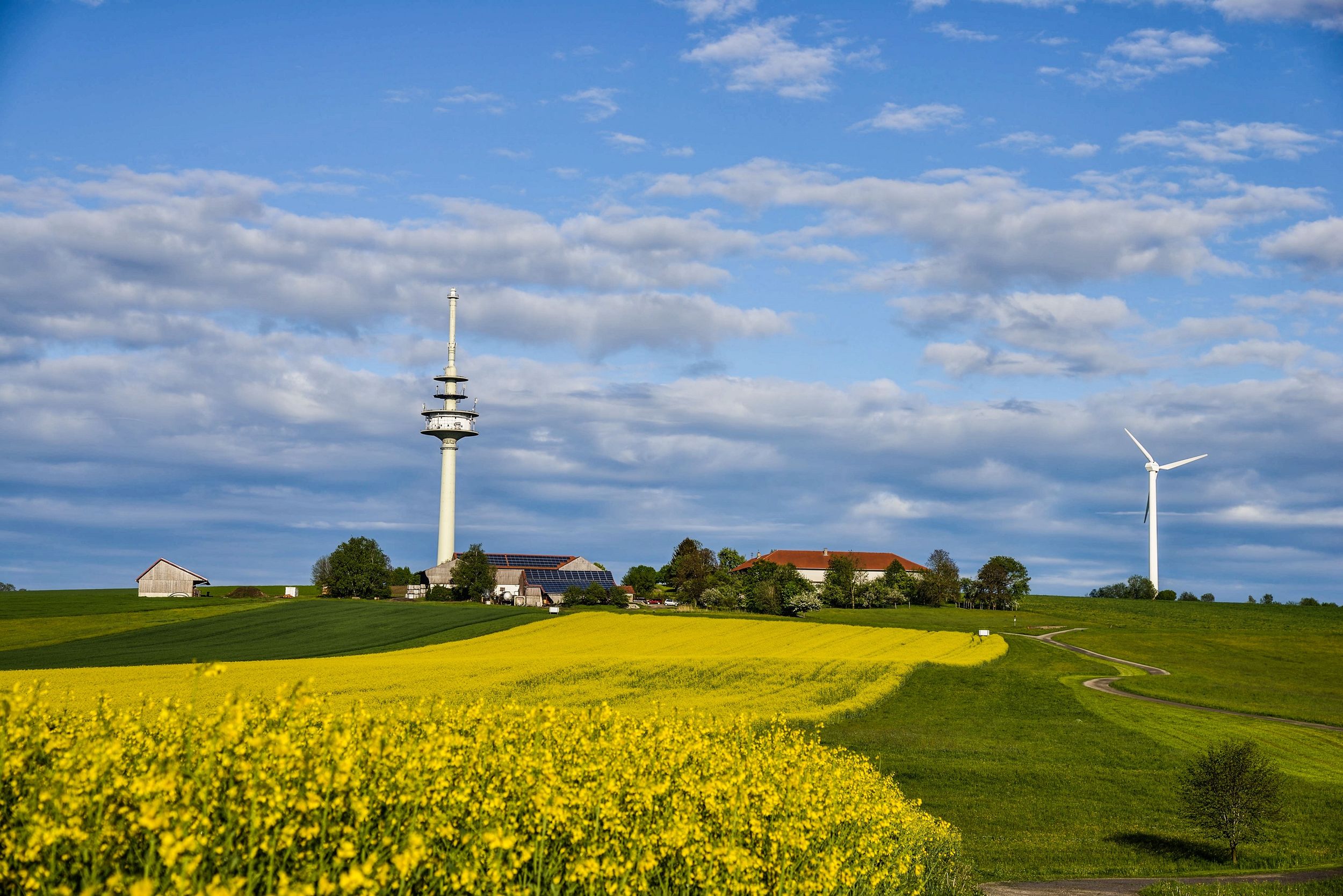 Courtyard of the Garting oil mill with rapeseed field in Schnaitsee